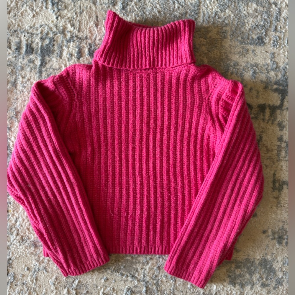 Universal Thread Fuchsia Turtleneck Sweater